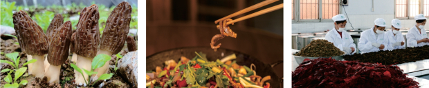 ΢Žͼ_20250820101414 (2).jpg